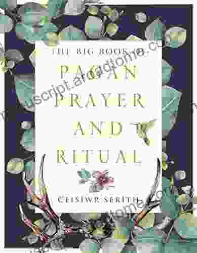 The Big Of Pagan Prayer And Ritual (Weiser Big Series)