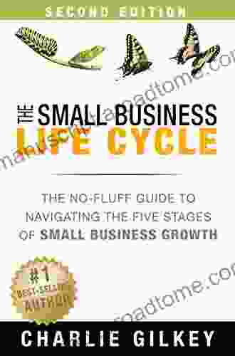 The Small Business Life Cycle: The No Fluff Guide to Navigating the Five Stages of Small Business Growth