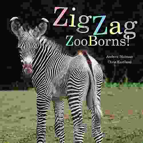 ZigZag ZooBorns : Zoo Baby Colors And Patterns